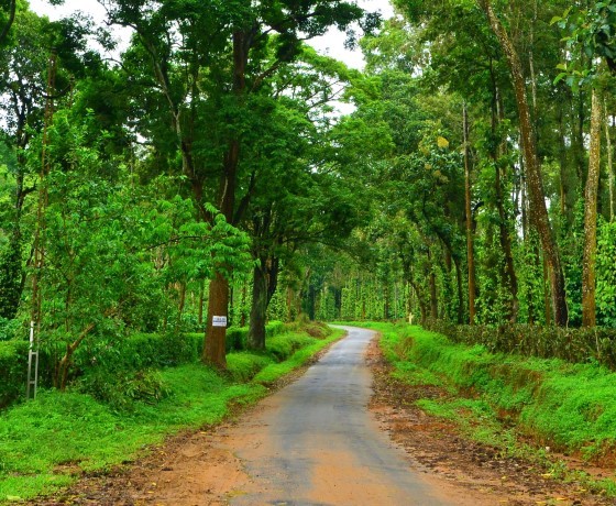 Madhya Pradesh